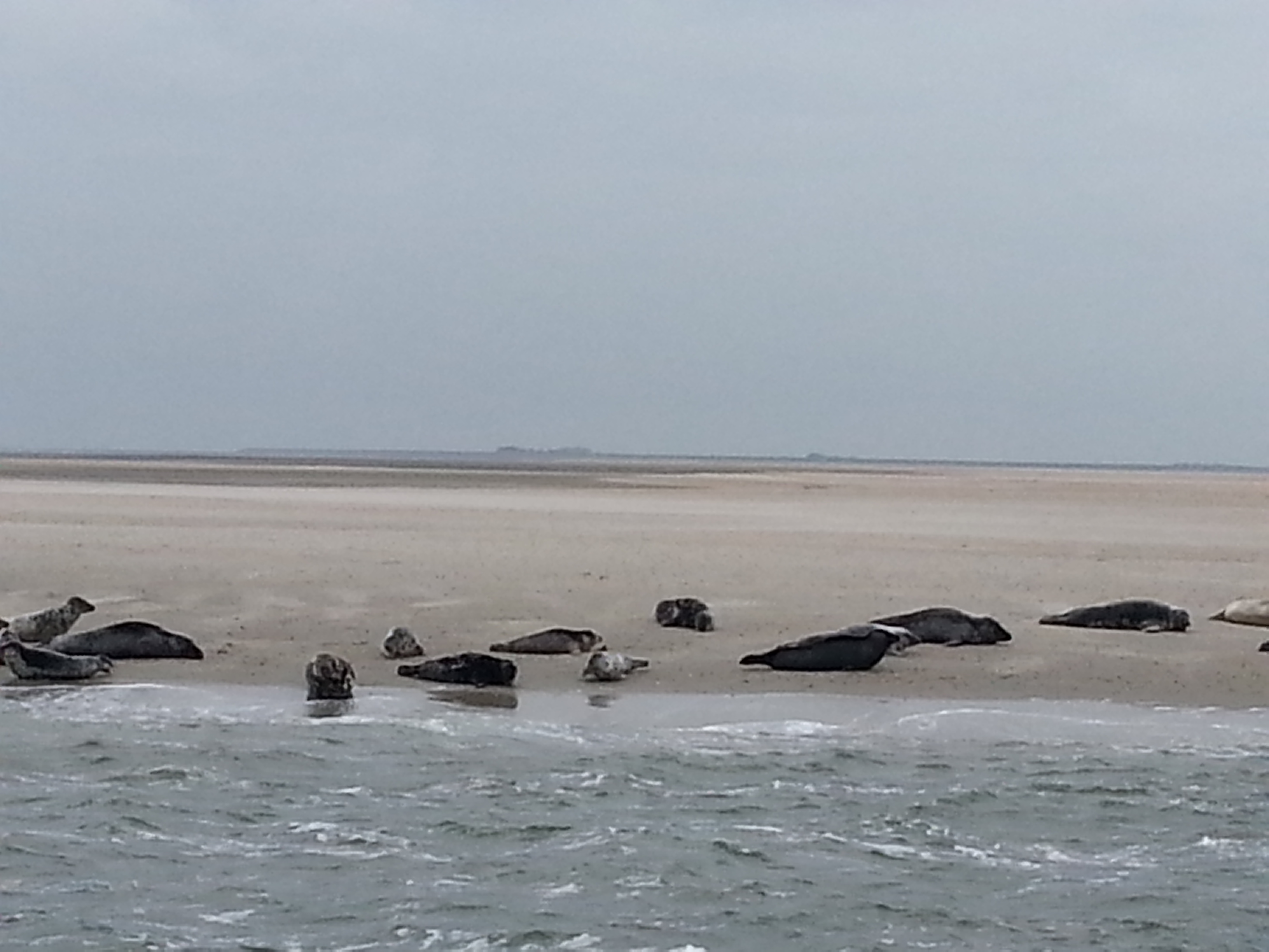 HWK Texel 111.jpg
